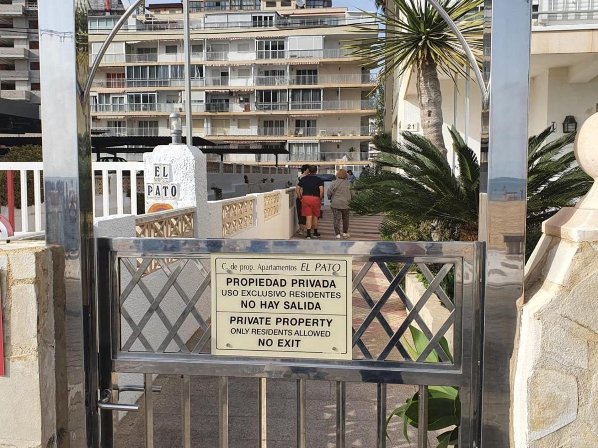 First Line With 3 Bedrooms And Seaviews Appartement